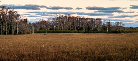 Evening Fly-By