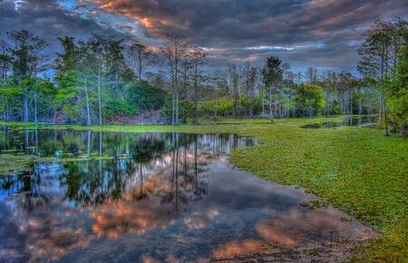 Grassy Waters Landscape