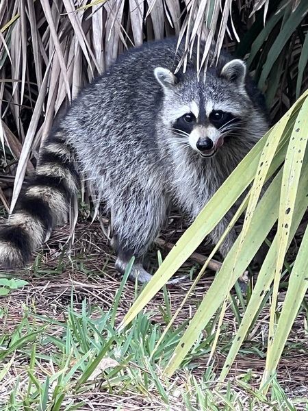 Caught me Snackin 