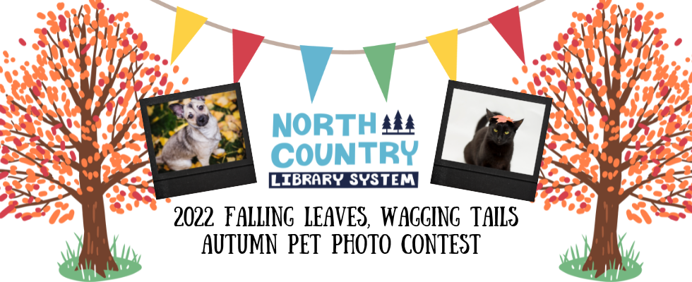 Country waggin best sale tails