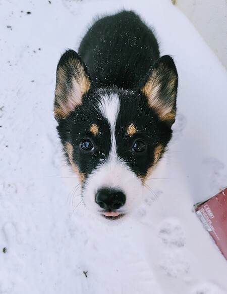 Maggie Lou