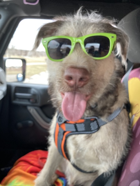 Tucker