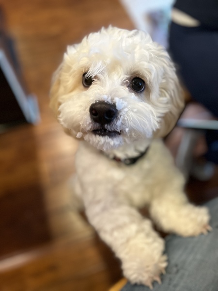 Charlie Cutie Pie