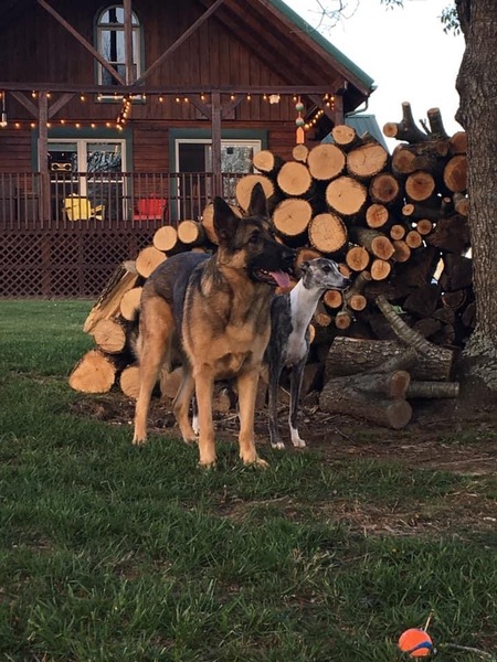Stella & Skyy