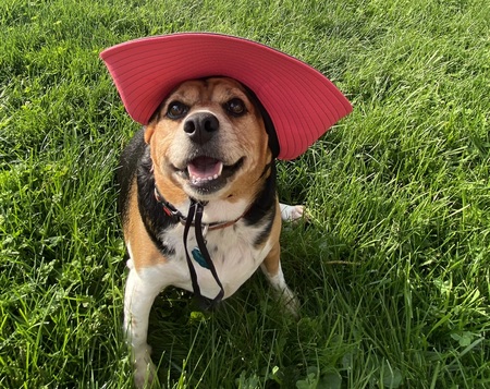 Molly