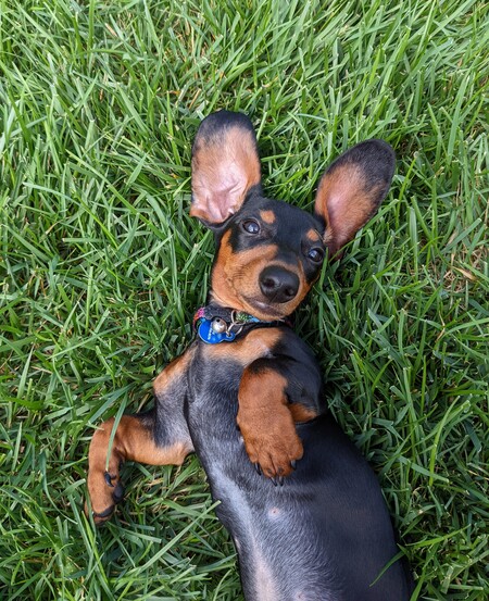 Max