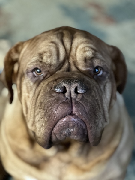 Rosie