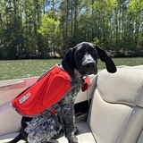 Entry image for Barnaby