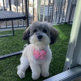 Entry image for Charlotte