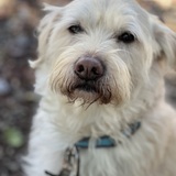 Entry image for Winnie