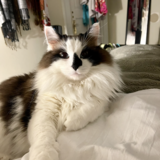 Entry image for Storm