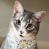 Entry image for Ashelynn Gray Smiley