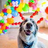 Entry image for Brian 