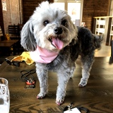 Entry image for Cali