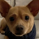 Entry image for Ralph