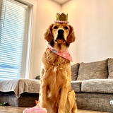 Entry image for Stevie 