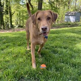 Entry image for Zoey