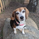 Entry image for Lana