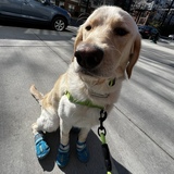 Entry image for Toast