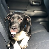 Entry image for Cash