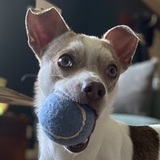 Entry image for Lewis