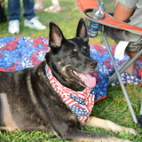 Entry image for Zora