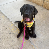 Entry image for Rabun