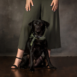 Entry image for Kolby