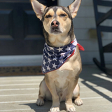 Entry image for Ralphie