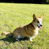 Entry image for Zuko