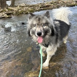 Entry image for Blue