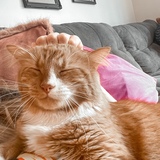 Entry image for Winston