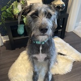 Entry image for Georgia 