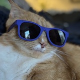 Entry image for George