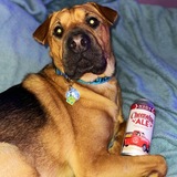 Entry image for Turbo