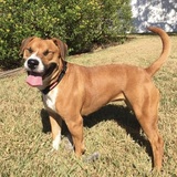 Entry image for Claire