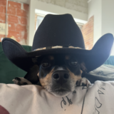 Entry image for Stanley