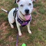 Entry image for Mabel