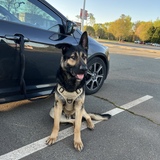 Entry image for Oakley 