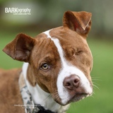 Entry image for Nora 