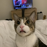 Entry image for Milluhhhh