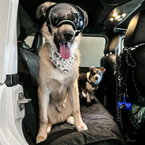 Entry image for Boone