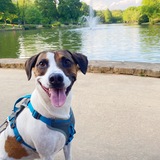 Entry image for Artie