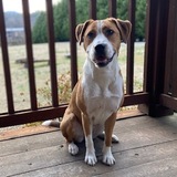 Entry image for Birdie