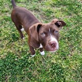 Entry image for Bruce