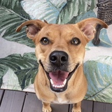 Entry image for Millie