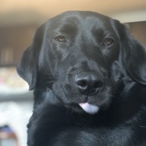 Entry image for Masha