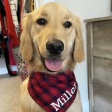 Entry image for Miller