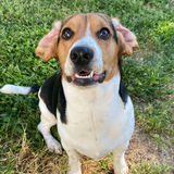 Entry image for Cash