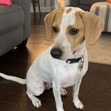 Entry image for Winnie